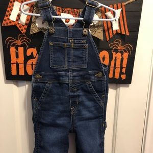 Denim Overalls